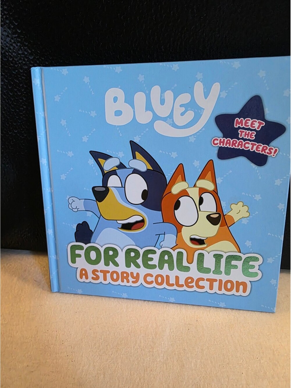 Bluey For Real Life Story Collection Hardcover 4 Stories in 1 Like New
